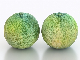 Hami melon fruit 3d model