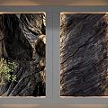 Rugged Dark Textured Wall Panels with Natural Patterns and Green Plant Decoration
