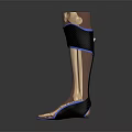 Anatomical Leg Organ Structure with Hair and Black Protective Gear Blue Trim