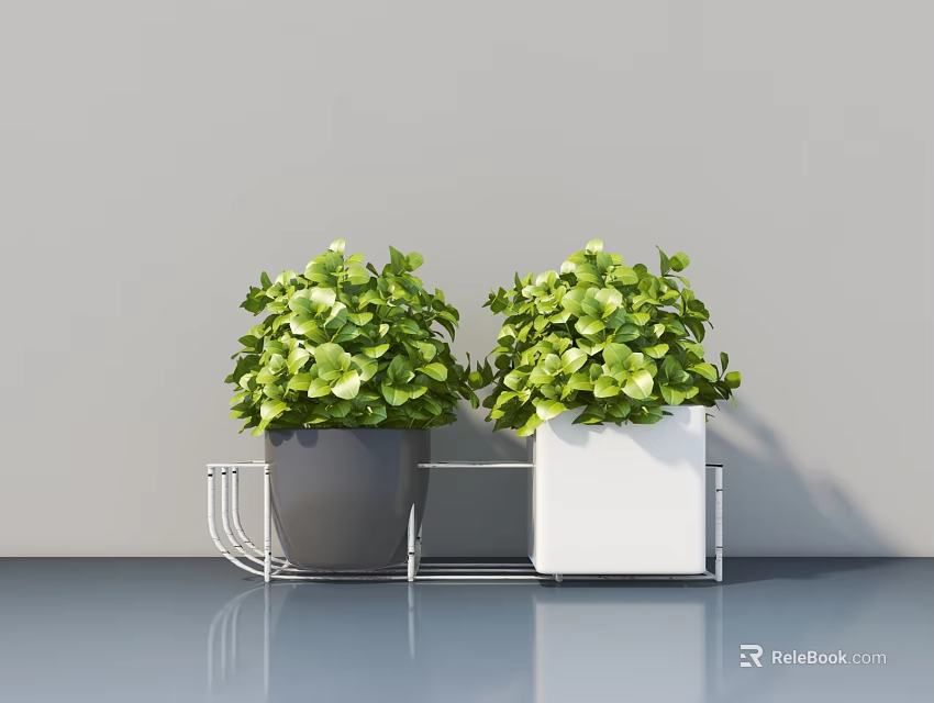 Two Lush Green Potted Plants with Gray and White Pots on Metal Stand Against Gray Background 3d model 