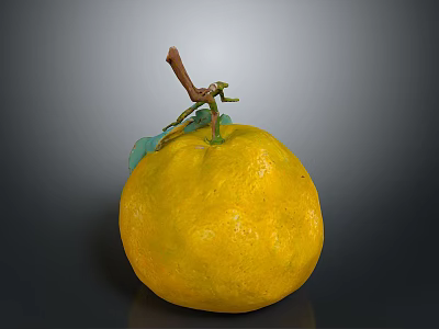 Fresh Ripe Yellow Pomelo Fruit With Green Leaves And Brown Stem 3d model