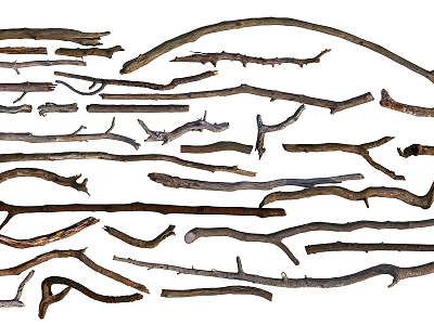 Natural Stone Wood Assortment With Various Shapes And Sizes Of Branches Logs 3d model