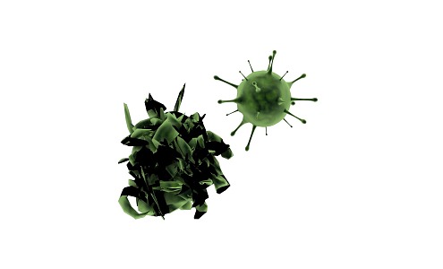 Modern virus 3d model