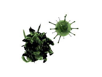 Modern virus 3d model