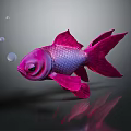 Vibrant Pink Goldfish Swimming With Bubbles On Dark Reflective Background