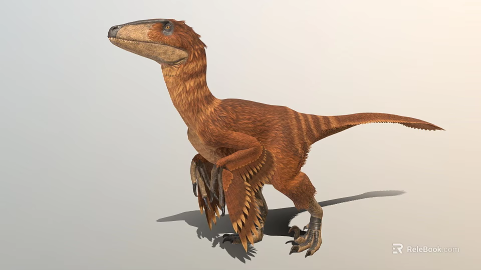 Realistic Feathered Dinosaur Model In Standing Pose With Detailed Texture 3d model 
