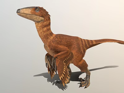Realistic Feathered Dinosaur Model In Standing Pose With Detailed Texture 3d model