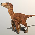 Realistic Feathered Dinosaur Model In Standing Pose With Detailed Texture