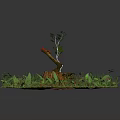 Rustic Tree Stump Scene With Axe Green Plants Grass And Stones