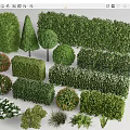 shrub hedge square shrub greenbelt plant combination isolation belt shrub ball shrub 3d model