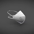 Disposable Protective Face Mask With Elastic Ear Loops And Filter Layer