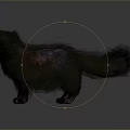 Black Cat With Fluffy Fur Green Eyes And White Ear Tips In Gray Background