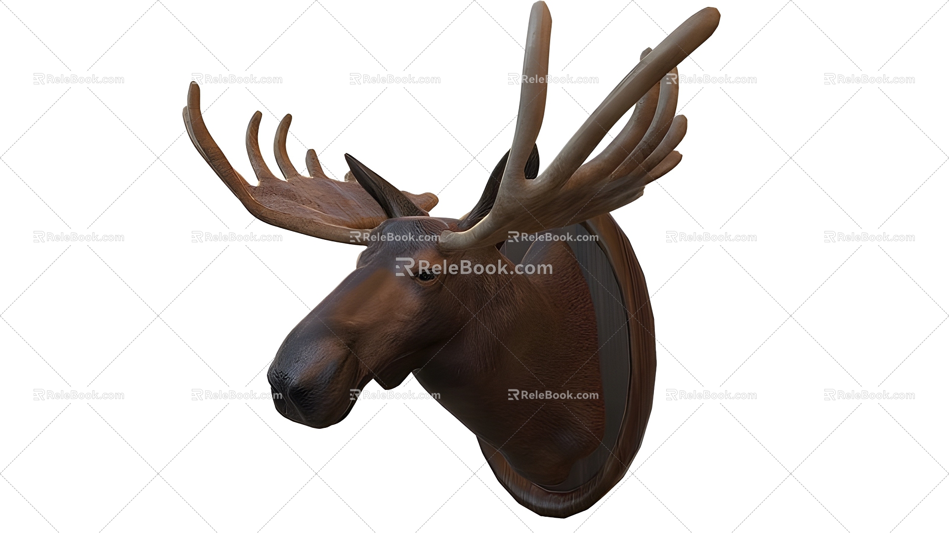 moose head animal specimen 3d model