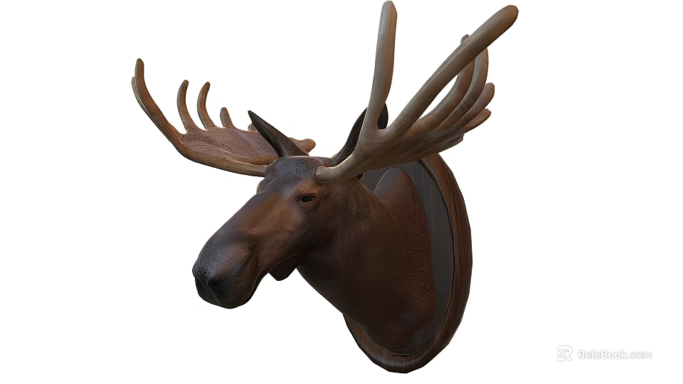 Reptile Head Taxidermy Mounted On Circular Wooden Plaque White Background 3d model 