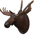 moose head animal specimen 3d model