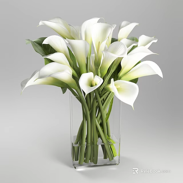 White Calla Lilies Arrangement In Clear Glass Vase With Green Leaves 3d model 