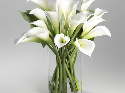 White Calla Lilies Arrangement In Clear Glass Vase With Green Leaves 3d model