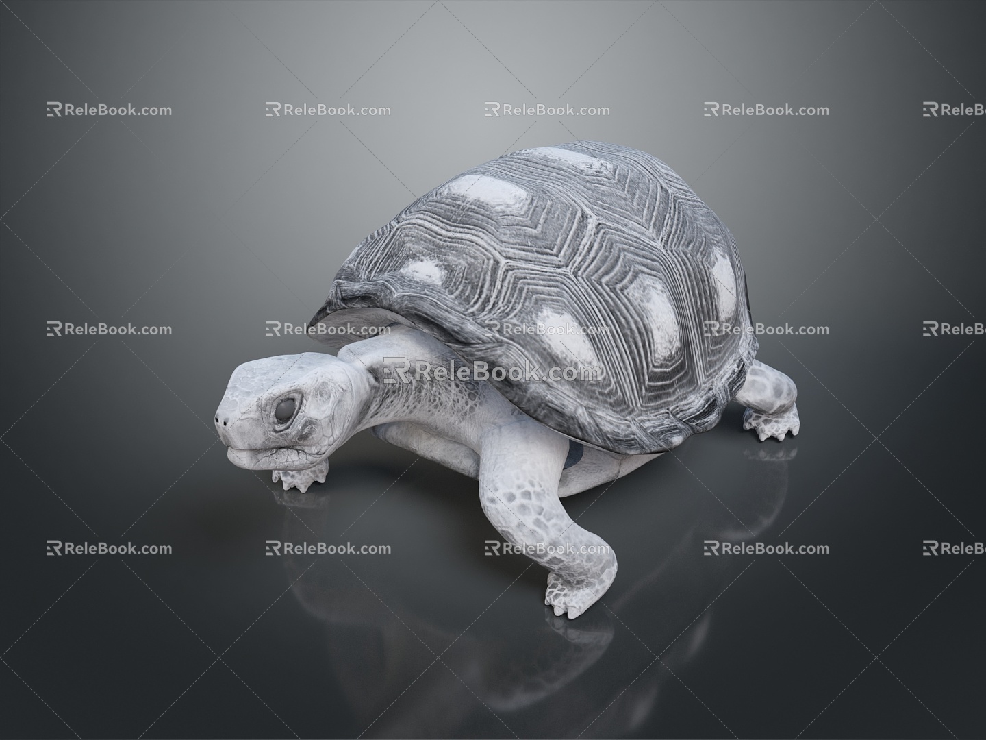 Turtle Turtle Cartoon Turtle Snapping Turtle Chickbill Turtle Reptile Cold Blooded Animal Reptile Reptile Class 3d model