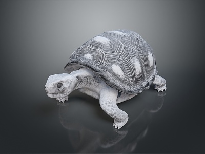 Turtle Cartoon Turtle Snapping Turtle Chickbill Turtle Reptile Cold Blooded Animal Reptile Class 3d model