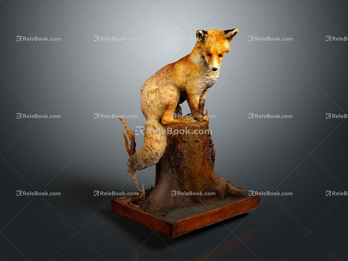 Fox Cartoon Fox Small Fox Cartoon Characters Cartoon Animals Cartoon Small Animals Game Characters 3d model