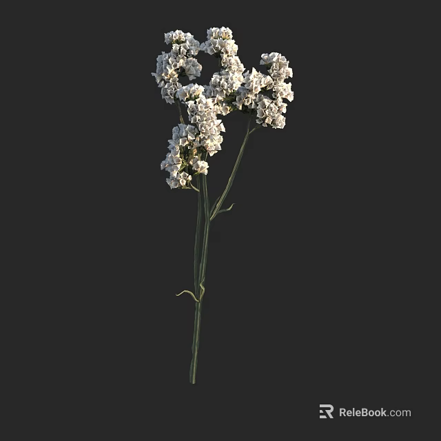 White Floral Arrangement in Vase with Green Stems on Dark Background 3d model 