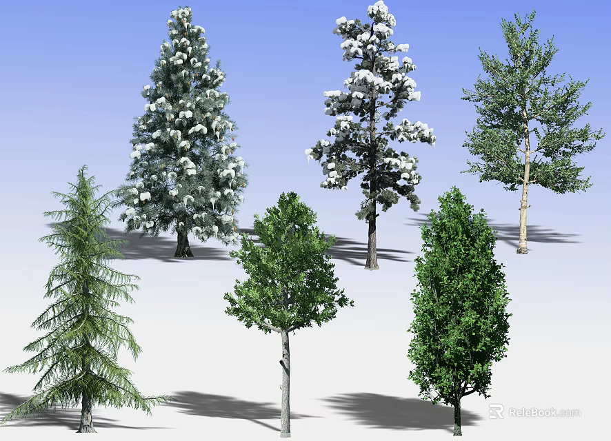 Various Types of Arbor Trees With Different Foliage Against Blue Sky 3d model 