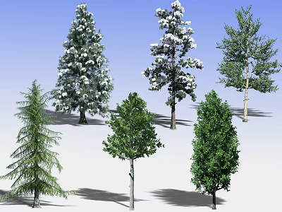 Various Types of Arbor Trees With Different Foliage Against Blue Sky 3d model