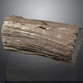 Natural Rustic Wooden Stump With Textured Surface And Small Middle Holes