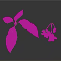 Fresh Green Leaves And Vibrant Red Berries In Natural Plant
