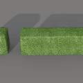 Two Well Trimmed Green Rectangular Shrubs In Block Shape For Garden Landscaping