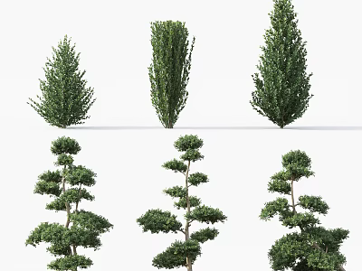 Different Types Of Ornamental Garden Shrubs With Various Shapes And Sizes 3d model