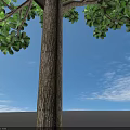 Lush Green Arbor Tree With Dense Foliage Sturdy Trunk And Square Plinth
