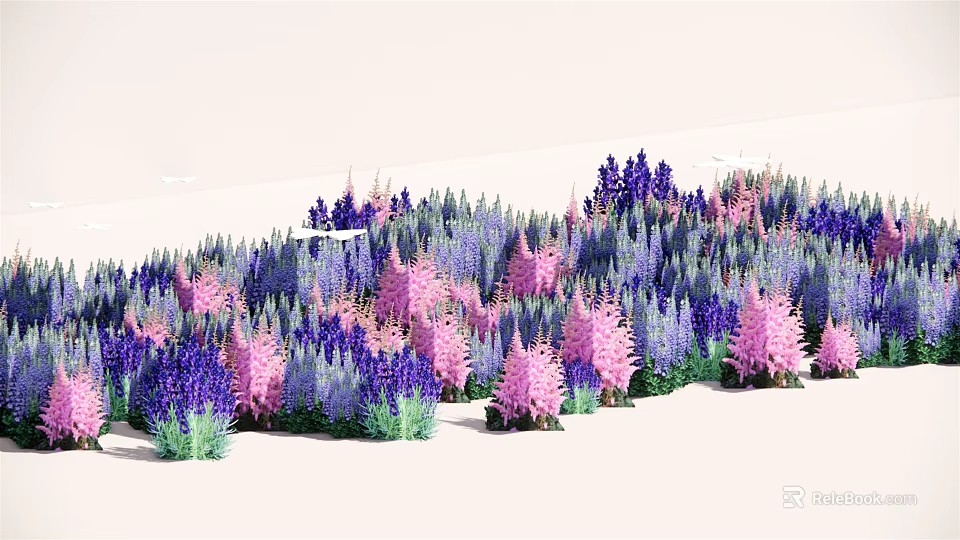 Vibrant Purple And Pink Flowers Blooming In Lush Garden Field With Green Foliage 3d model 