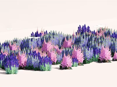 Vibrant Purple And Pink Flowers Blooming In Lush Garden Field With Green Foliage 3d model