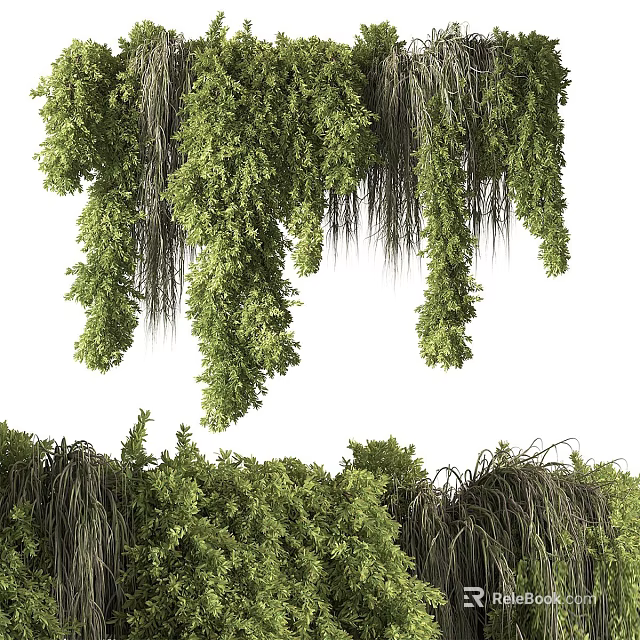 Green Plant Wall With Lush Hanging Greenery And Dense Verdant Foliage 3d model 