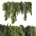 Green Plant Wall With Lush Hanging Greenery And Dense Verdant Foliage
