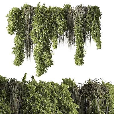 Green Plant Wall With Lush Hanging Greenery And Dense Verdant Foliage 3d model
