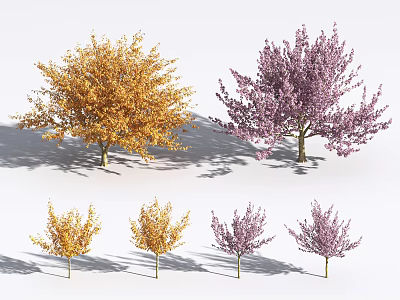 Modern Flower Tree Mountain Cherry Blossom 3d model Modern Flower Tree Mountain Cherry Blossom 3d model