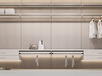 Modern Minimalist Entryway Cabinet and Side Cabinet with Storage Drawers Hanging Hooks and Shelves 3d model