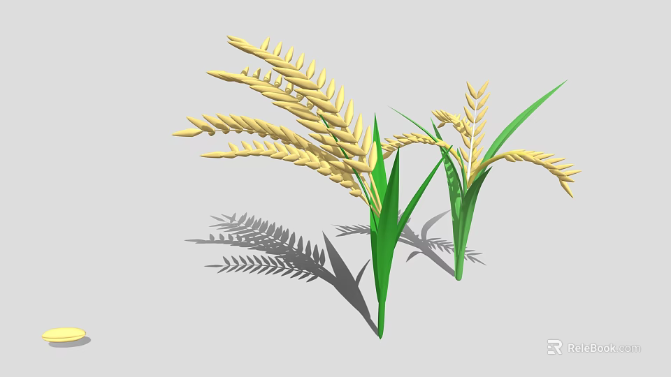 Golden Rice Plants With Green Leaves And Ripe Ears Casting Shadows 3d model 