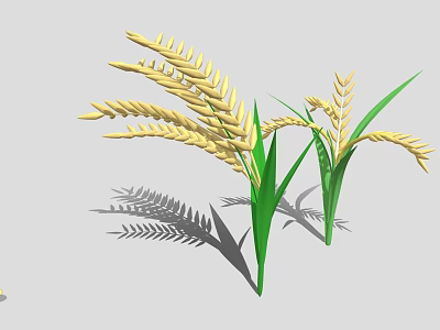 Golden Rice Plants With Green Leaves And Ripe Ears Casting Shadows 3d model