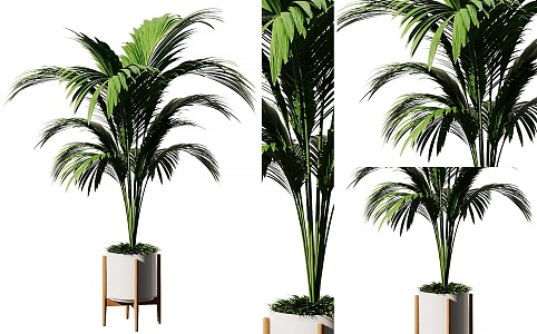 Modern Indoor Sanwei Anemone Potted Plant Green Planting Sanwei Anemone Potted Plant Indoor Flower Pot Green Planting Nordic Solid Wood Potted Plant 3d model