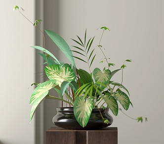 Modern Green Plant Potted Plant 3d model