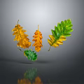 Colorful Oak Leaves Floating On Gray Background With Yellow Orange And Green Tones And Reflection