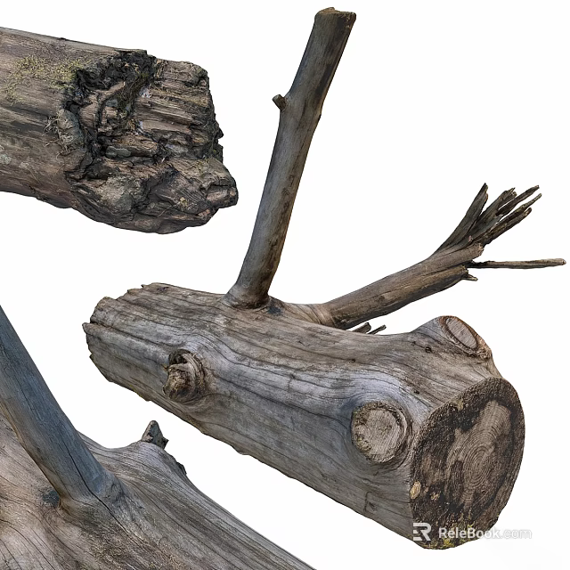 Weathered Tree Trunk And Branches With Natural Wood Knots And Rough Texture 3d model 