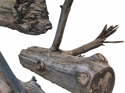 Modern driftwood stump 3d model