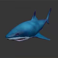 Realistic Blue Shark 3D Model With Detailed Features On Black Background 3d model