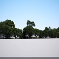 Modern Detached Villa With Large Glass Windows Wooden Elements Green Lawn And Surrounding Trees