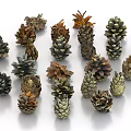 pine cones pine nuts 3d model