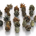 pine cones pine nuts 3d model